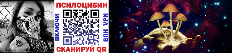 Галлюциногенные грибы мицелий  Реж 
